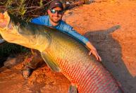 Pescador fisga pirarucu de 2,45 metros em caiaque no MT após viagem de 5 mil km