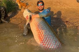 Pescador fisga pirarucu de 2,45 metros em caiaque no MT após viagem de 5 mil km
