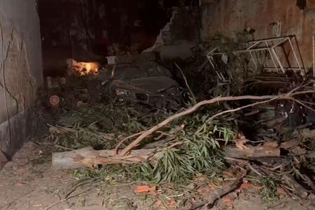 Veículo atingido após queda de árvore e muro • Laura Gorino/ Itatiaia