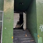 Moradores em situação de rua invadem prédio abandonado atingido por incêndio em BH