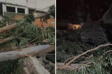 Incêndio em usina causa estragos e assusta moradores no Barreiro, em BH