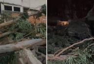 Incêndio em siderúrgica causa estragos e assusta moradores no Barreiro, em BH