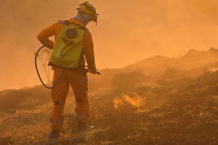 Após perdas de R$ 1,2 bilhão, setor florestal e MG ampliam combate a incêndios