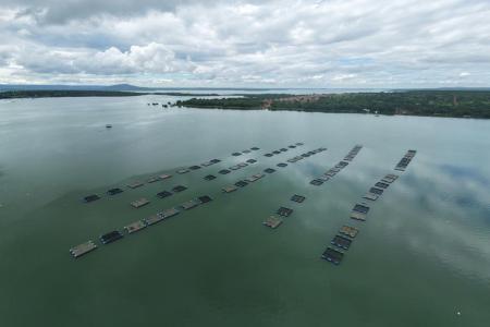 Top 3 na produção de peixes, Minas mobiliza aumento do consumo interno