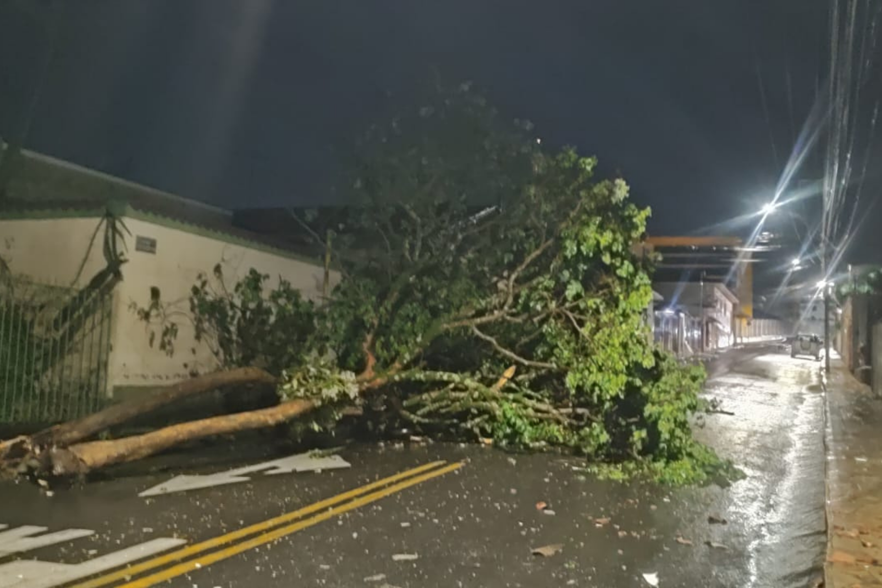 Temporal destelha casas, derruba árvores e suspende reunião da Câmara em Varginha; veja vídeo