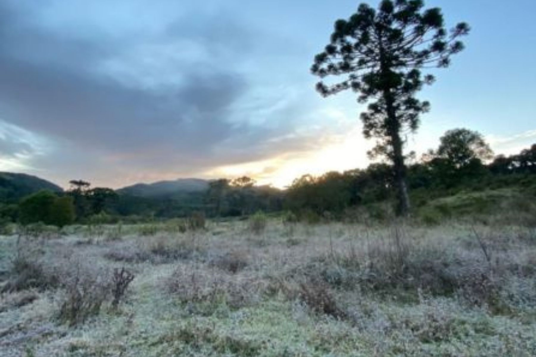 Cidade de MG tem menor temperatura do país nesta terça-feira (4); saiba qual
