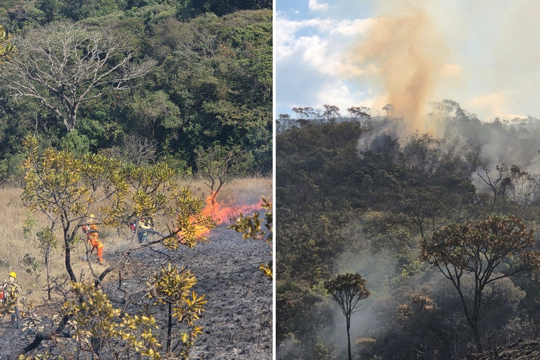 Incêndio atinge o Parque Serra do Gandarela, na Grande BH, e mobiliza os bombeiros