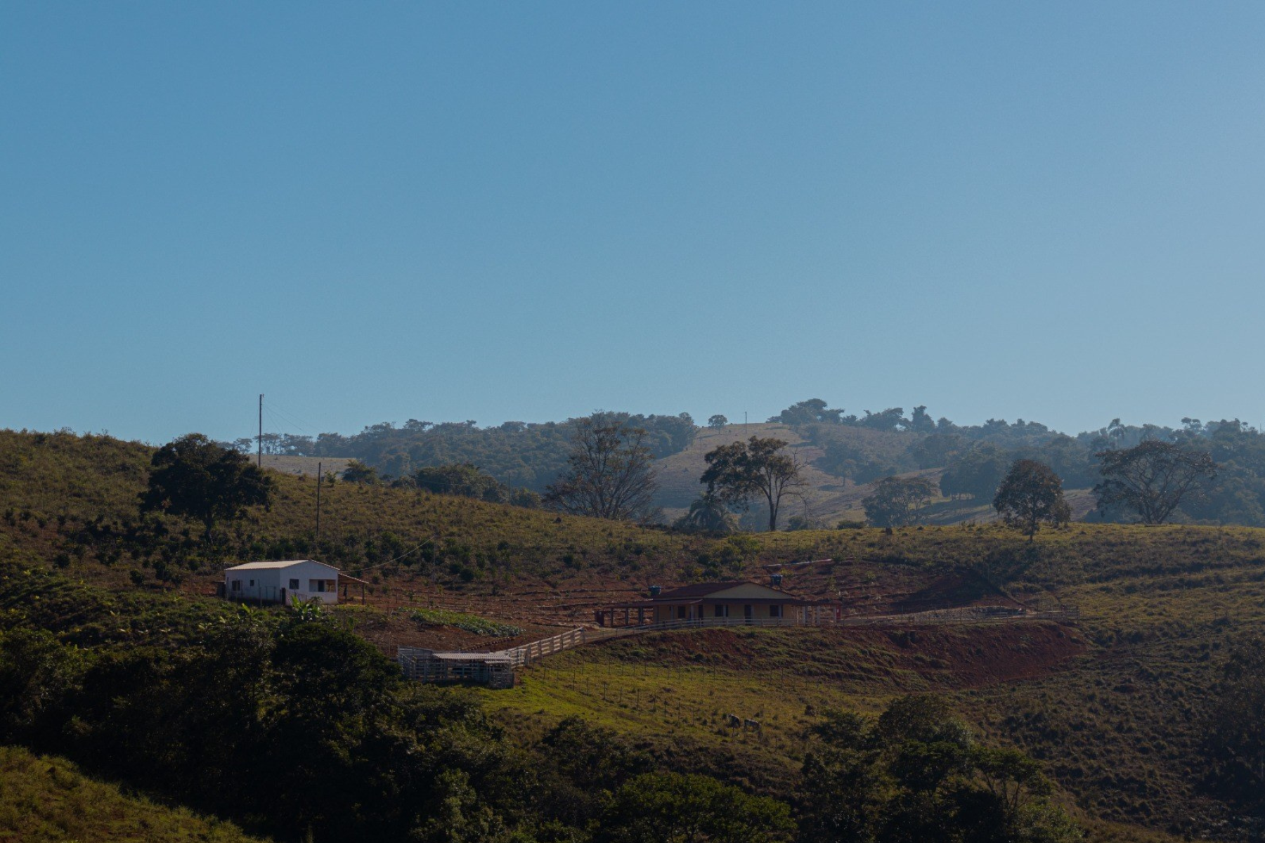 Relatório global aponta que 10% dos maiores produtores operam 89% das áreas agrícolas