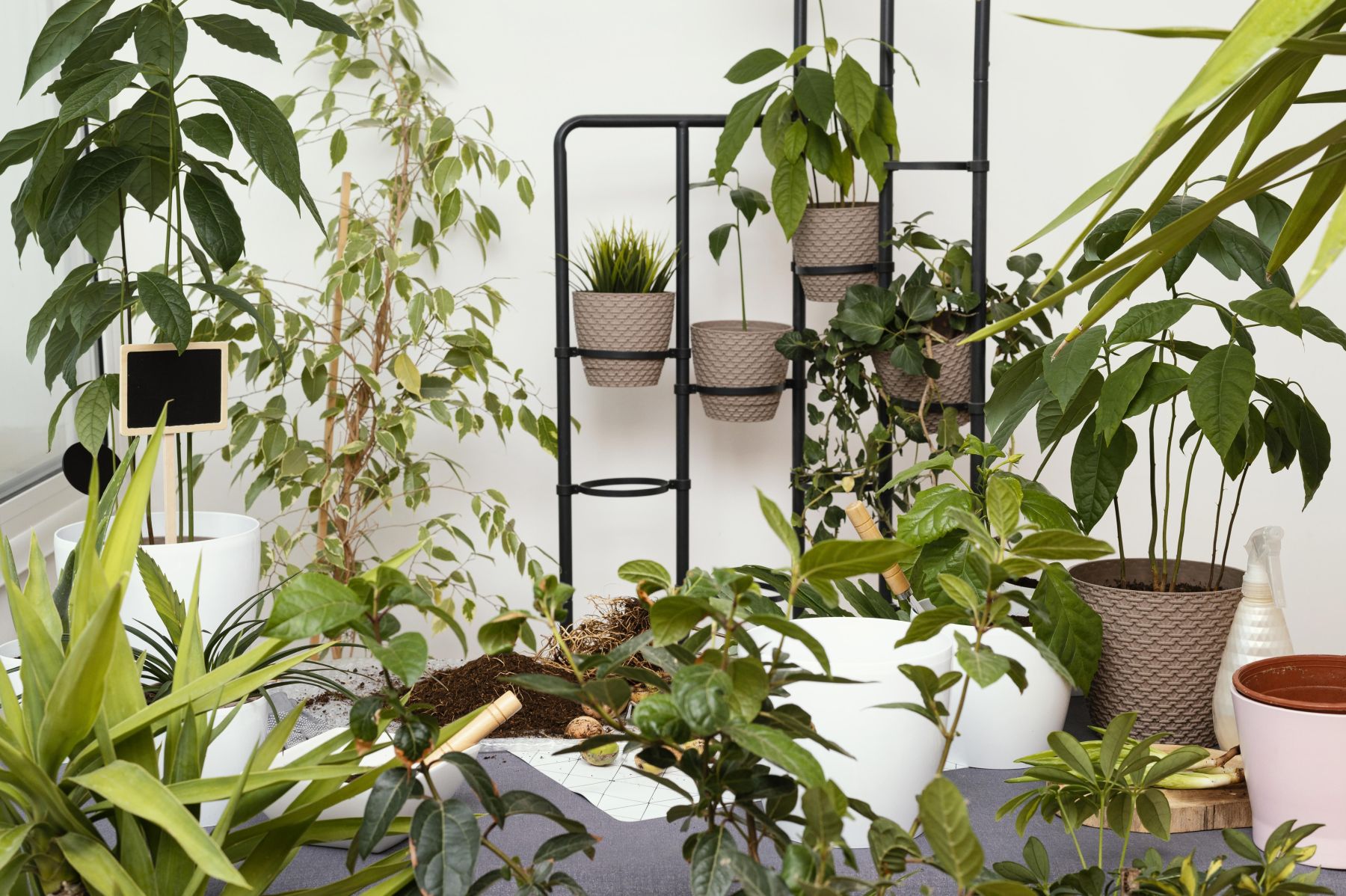Vasos de flores saíram de moda: conheça a tendência de 2026 que transforma qualquer jardim