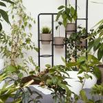 Vasos de flores saíram de moda: conheça a tendência de 2026 que transforma qualquer jardim