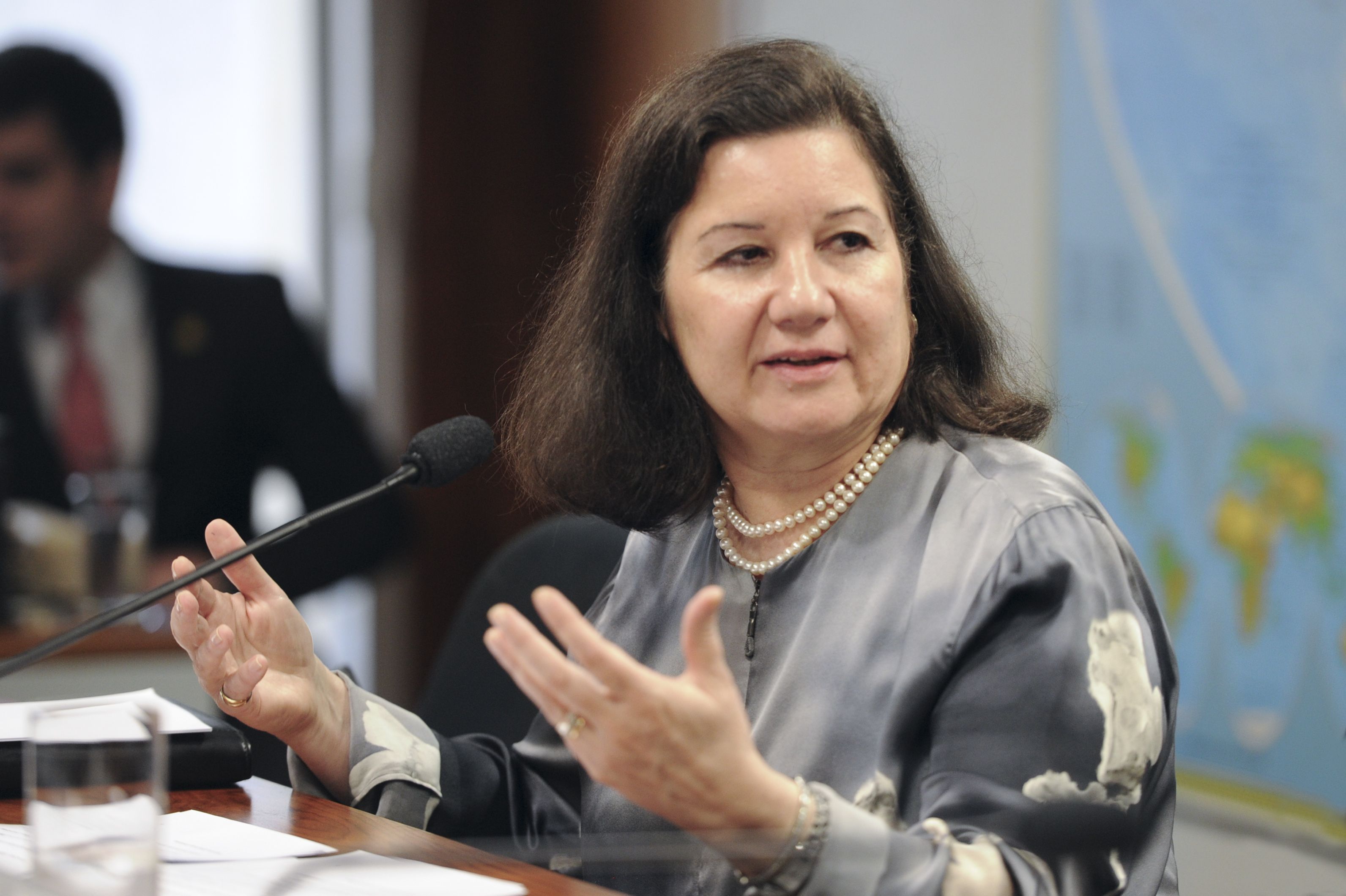 Quem é Maria Luiza Viotti, embaixadora brasileira que teve o visto revogado pelos EUA