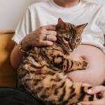 Médico do HU-UFJF esclarece dúvidas e mitos sobre a toxoplasmose