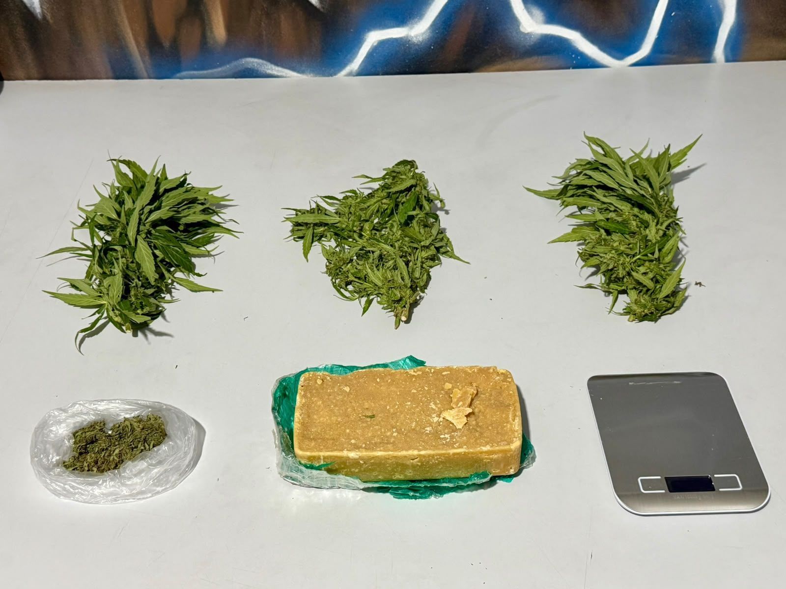 Mudas da planta da maconha são localizadas em ação de combate ao tráfico no Vale do Aço