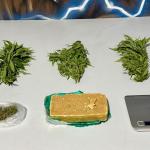 Mudas da planta da maconha são localizadas em ação de combate ao tráfico no Vale do Aço