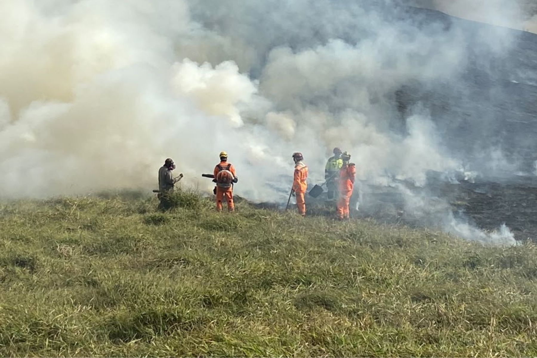 Incêndio atinge 35 hectares de vegetação próxima ao Parque Estadual do Krambeck
