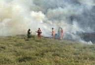 Incêndio atinge 35 hectares de vegetação próxima ao Parque Estadual do Krambeck