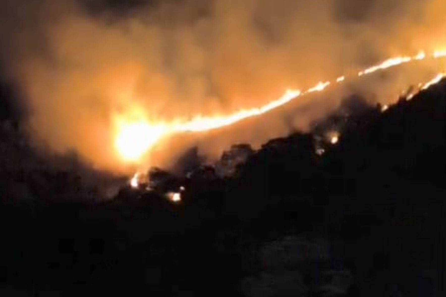 Bombeiros combatem incêndio em área da Mata do Krambeck em Juiz de Fora