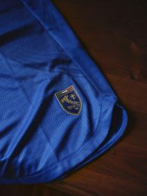 Veja fotos do novo uniforme 3 do Palmeiras