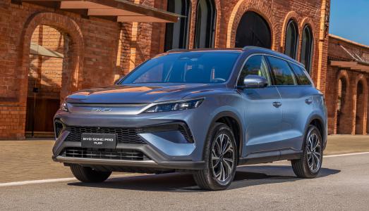 • Divulgação