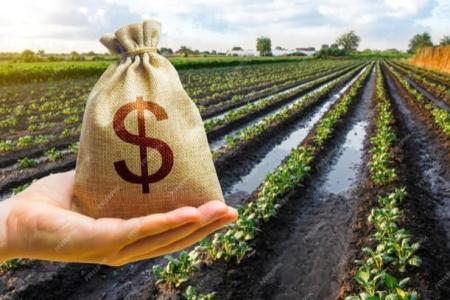 Valdir Barbosa: alimentos mais caros vêm das guerra, El Niño, juros e falta de apoio do governo