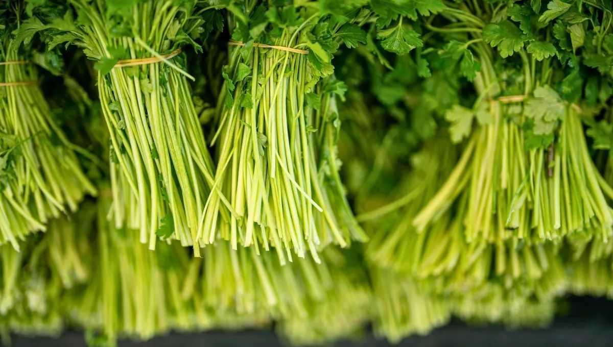 Se você tem salsa em casa, tem um tesouro nas mãos: não jogue o talo fora e use-o novamente