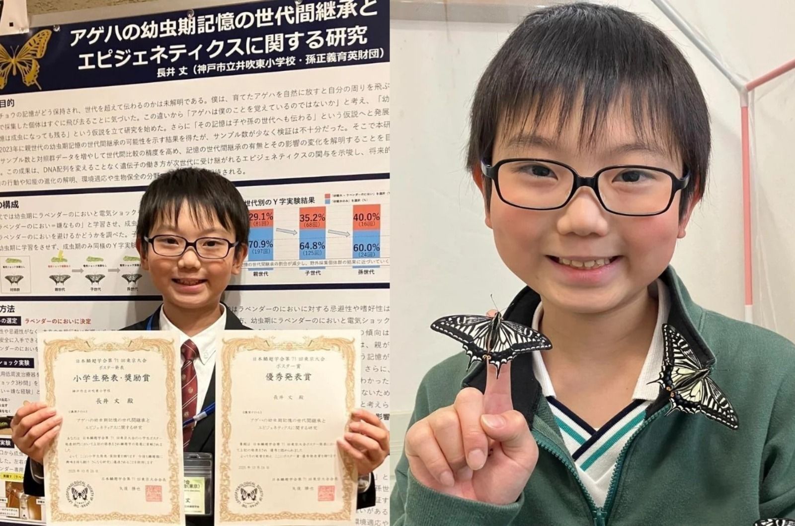 JoNagai, menino japonês de 10 anos, cria estudo inédito sobre memória das borboletas