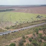 Cerca de 130 pessoas invadem área rural privada às margens da MGC-497, em Uberlândia