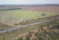 Cerca de 130 pessoas invadem área rural privada às margens da MGC-497, em Uberlândia