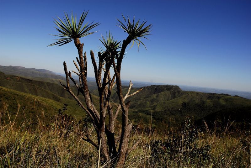 Dia dos Pais: 5 destinos para curtir a natureza em um passeio em família