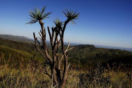 Parque Estadual da Serra do Rola-Moça