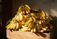 Onde guardar bananas para conservá-las frescas e cremosas por várias semanas