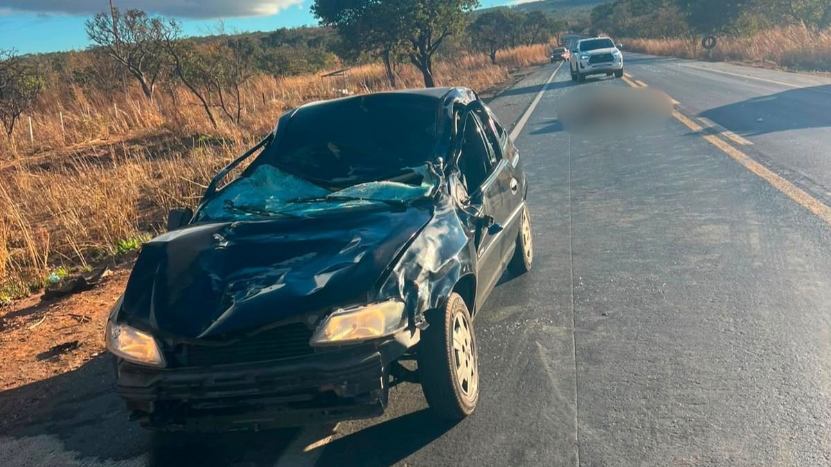 Quatro pessoas ficam feridas após carro bater em cavalo na BR-365, em Jequitaí