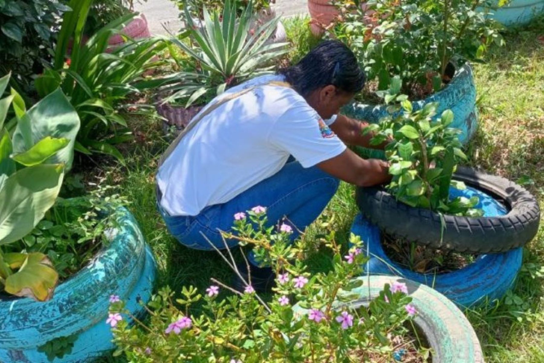Combate ao Aedes aegypti será realizado em 14 bairros de Juiz de Fora