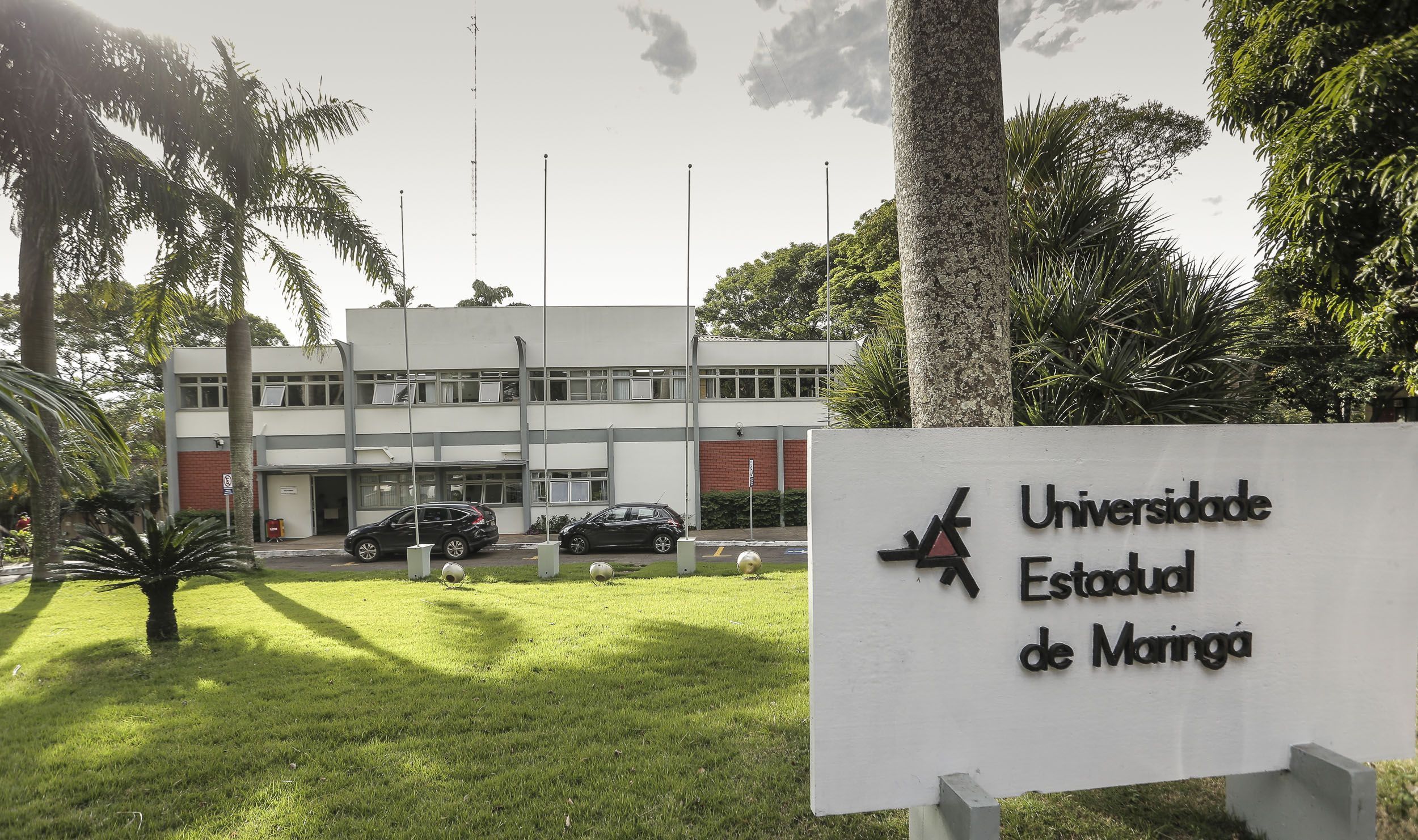 UEM abre seleção com 76 vagas para professores e salários de até R$ 11,2 mil no Paraná
