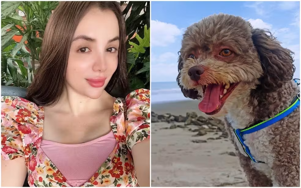 Advogada morreu protegendo cachorro durante terremoto na Colômbia
