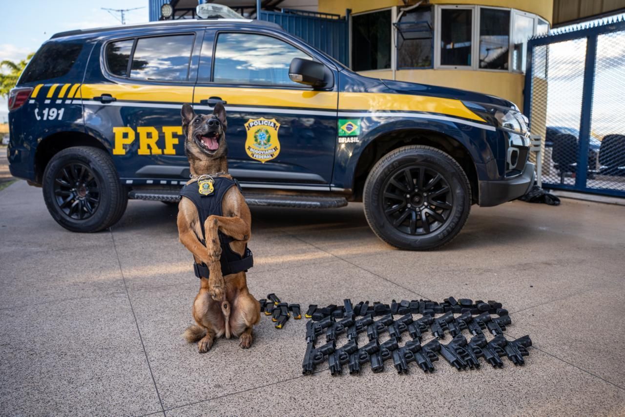 Arsenal com 20 pistolas é apreendido durante ação da PRF na BR-060; um homem é preso