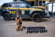 Arsenal de pistolas é apreendido durante ação da PRF na BR-060; um homem é preso