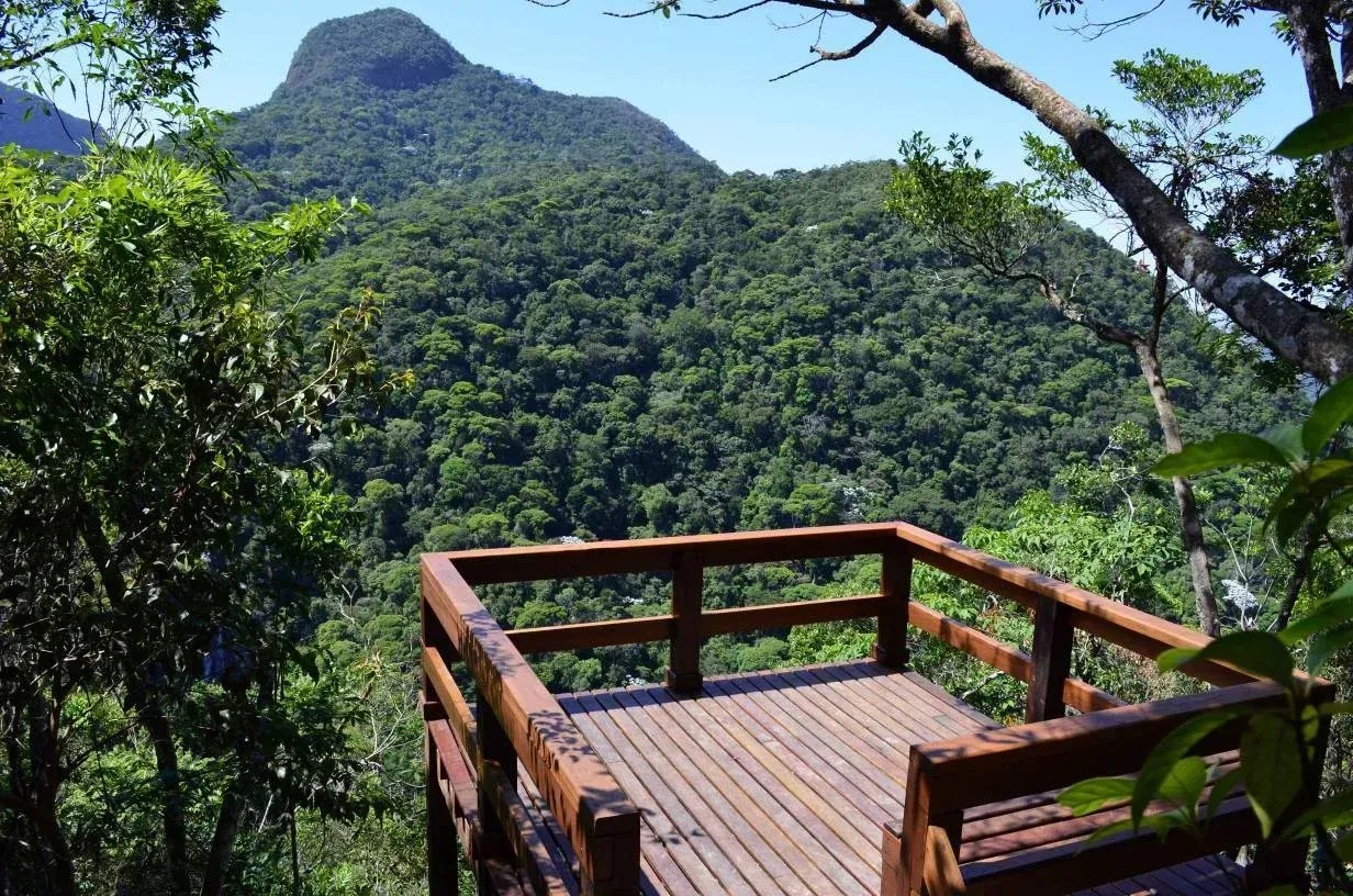 Trilhas do Parque Nacional da Tijuca são fechadas após alerta de ventos fortes no Rio