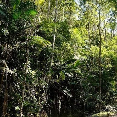Ministério Público e Prefeitura de Lavras fazem acordo para melhorar gestão de áreas verdes