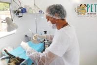 PBH abre cadastro para mutirão de castração gratuita de cães e gatos em três regionais