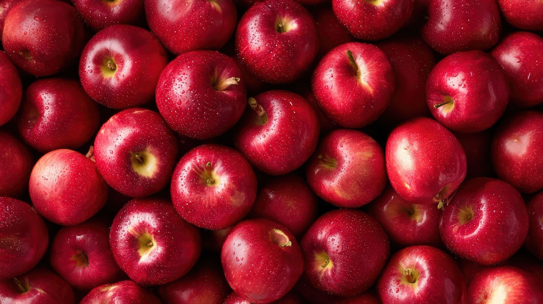 Consumo de maçã pode ajudar no controle do colesterol e da glicemia, apontam especialistas