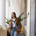 As 4 plantas para colocar na entrada de casa e atrair prosperidade, segundo o Feng Shui