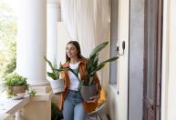 As 4 plantas para colocar na entrada de casa e atrair prosperidade, segundo o Feng Shui