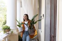 As 4 plantas para colocar na entrada de casa e atrair prosperidade, segundo o Feng Shui