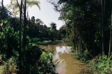 Paisagismo do terreno do Museu Bernardo Paz na zona rural de Brumadinho