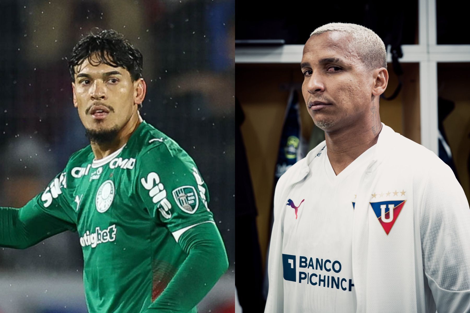 Palmeiras x LDU: saiba quando serão os jogos das quartas de final da Libertadores