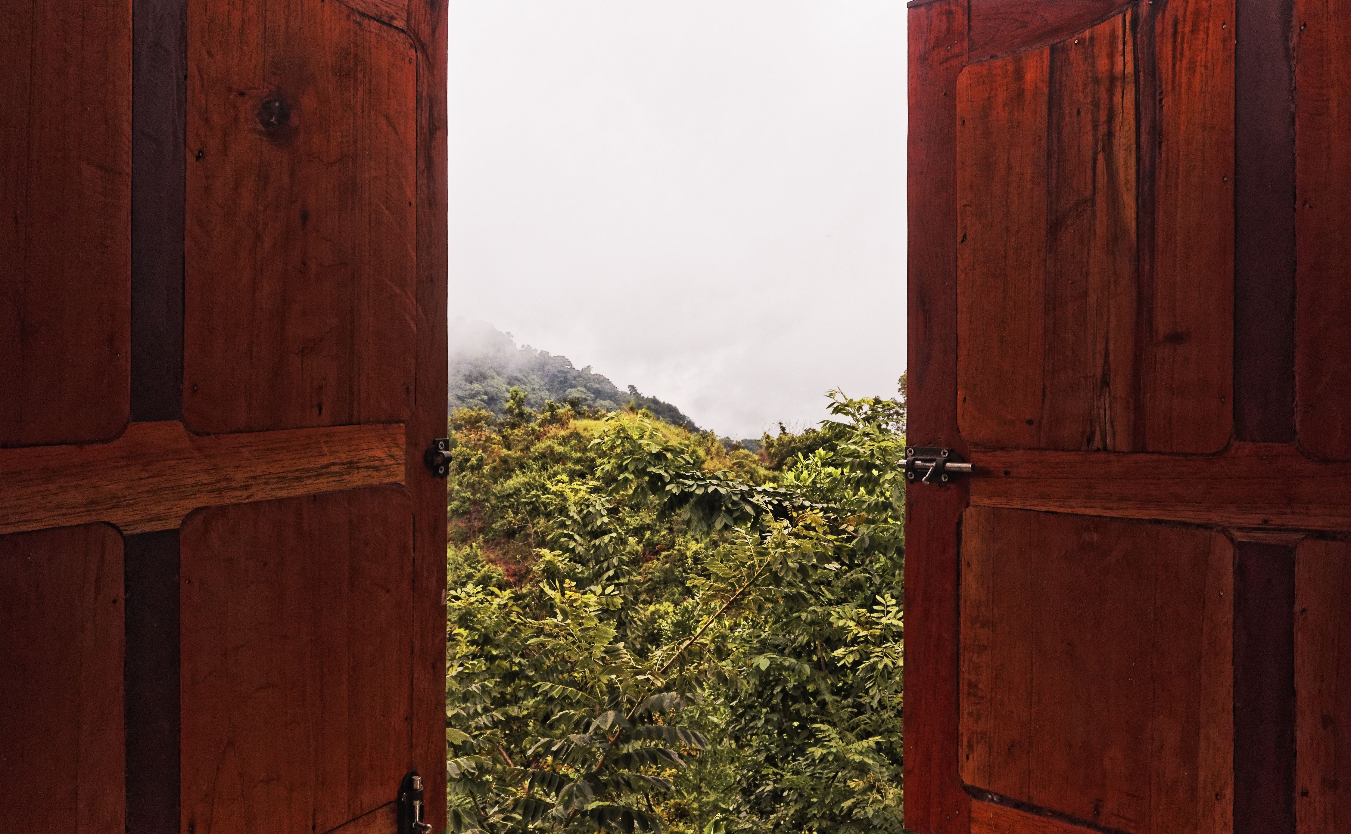 Polir porta de madeira com óleo e vinagre: para que serve a mistura caseira