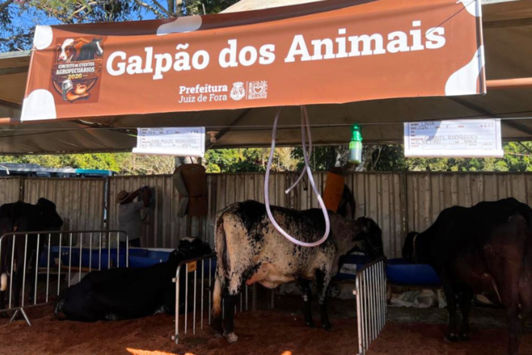 Torneio Leiteiro movimenta fim de semana no distrito de Paula Lima