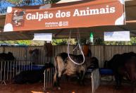 Torneio Leiteiro movimenta fim de semana no distrito de Paula Lima