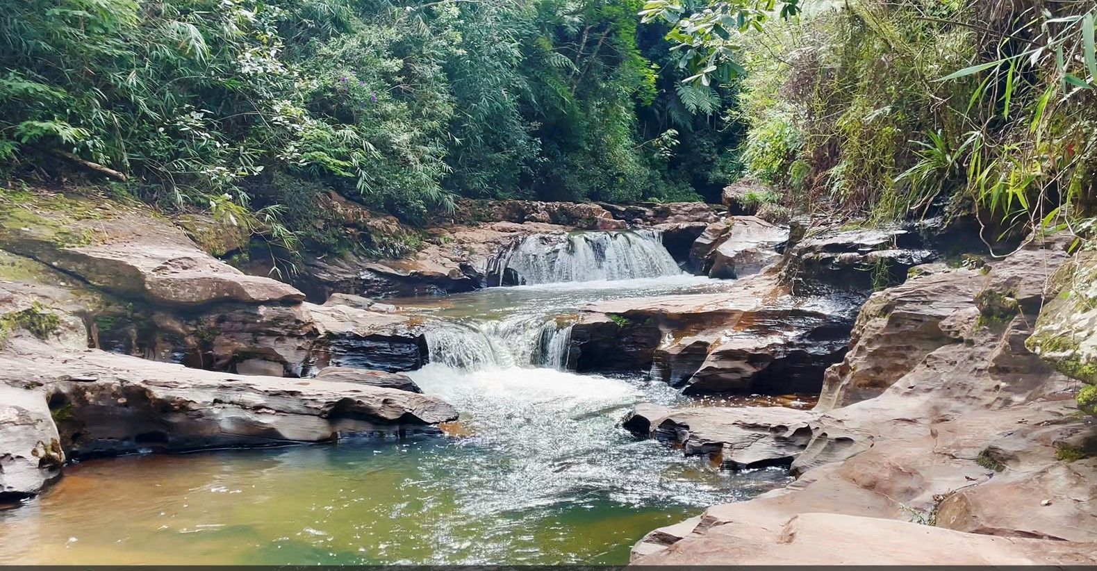 Projeto revitaliza 12 quilômetros de trilhas no Parque das Andorinhas, em Ouro Preto